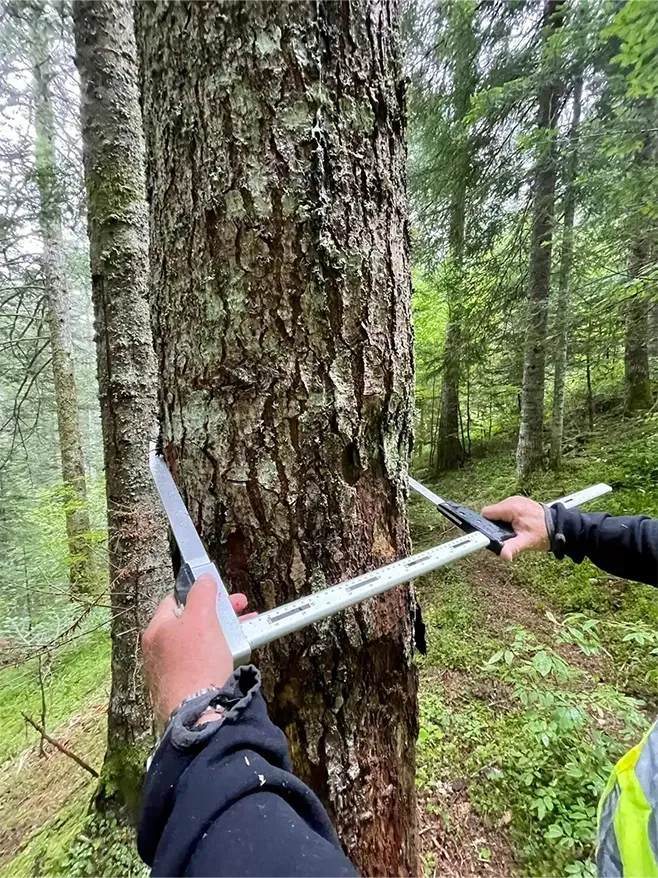 Bûcheron à Villard-De-Lans